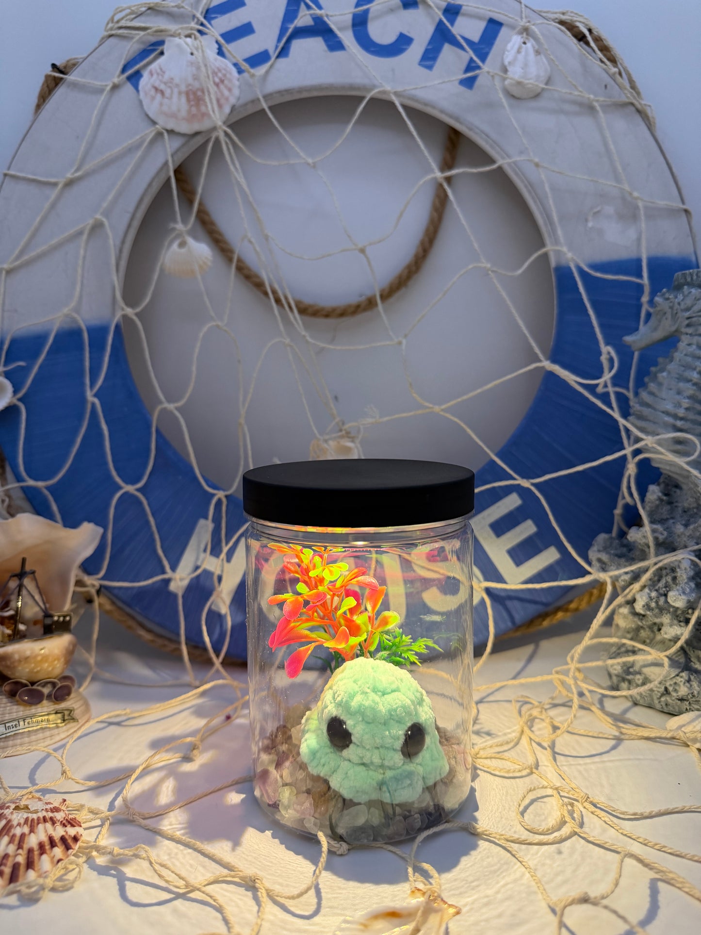 Mini Aquarium mit Licht