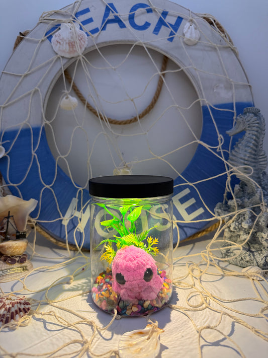 Mini Aquarium mit Licht